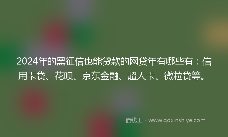 2024年的黑征信也能贷款的网贷年有哪些有：信用卡贷、花呗、京东金融、超人卡、微粒贷等。