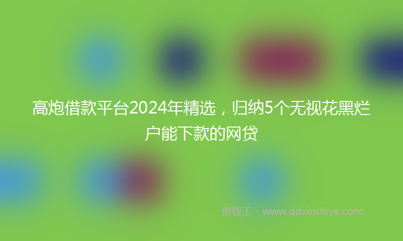 高炮借款平台2024年精选，归纳5个无视花黑烂户能下款的网贷