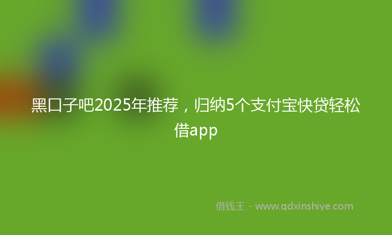 黑口子吧2025年推荐，归纳5个支付宝快贷轻松借app
