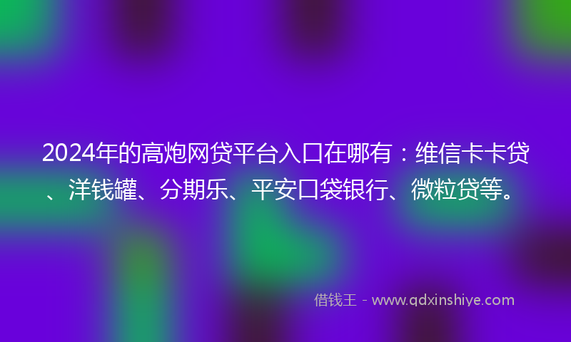 2024年的高炮网贷平台入口在哪有：维信卡卡贷、洋钱罐、分期乐、平安口袋银行、微粒贷等。
