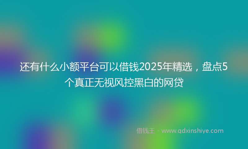 还有什么小额平台可以借钱2025年精选，盘点5个真正无视风控黑白的网贷