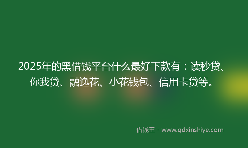 2025年的黑借钱平台什么最好下款有：读秒贷、你我贷、融逸花、小花钱包、信用卡贷等。