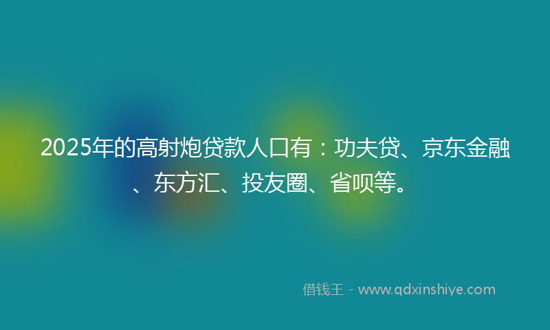 2025年的高射炮贷款人口有：功夫贷、京东金融、东方汇、投友圈、省呗等。