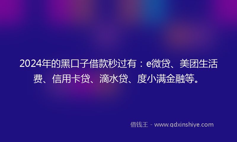 2024年的黑口子借款秒过有：e微贷、美团生活费、信用卡贷、滴水贷、度小满金融等。