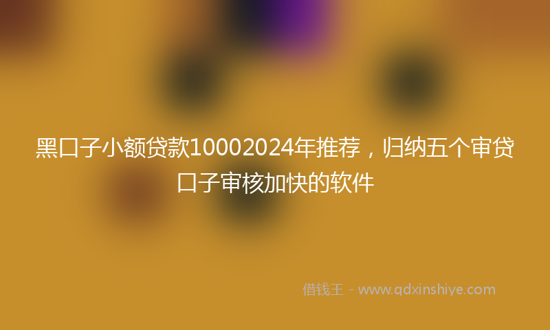 黑口子小额贷款10002024年推荐，归纳五个审贷口子审核加快的软件