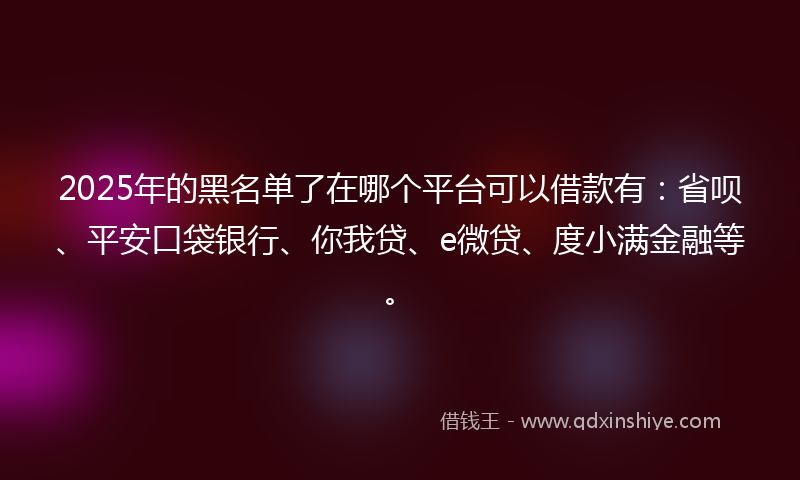 2025年的黑名单了在哪个平台可以借款有：省呗、平安口袋银行、你我贷、e微贷、度小满金融等。