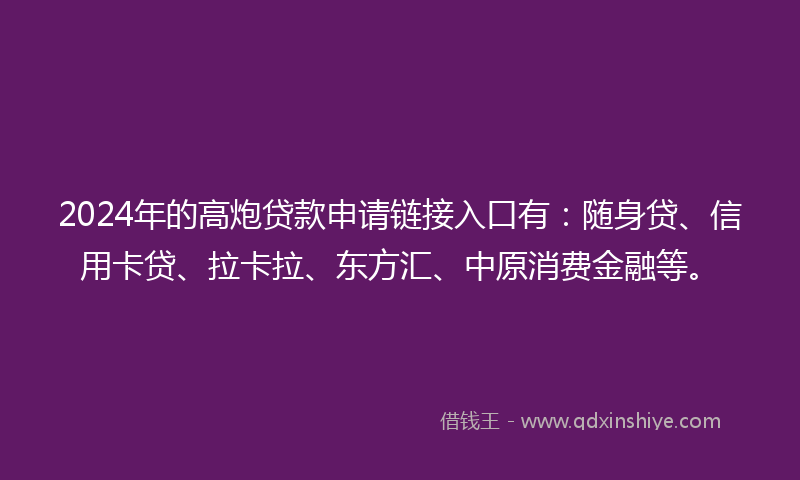 2024年的高炮贷款申请链接入口有：随身贷、信用卡贷、拉卡拉、东方汇、中原消费金融等。