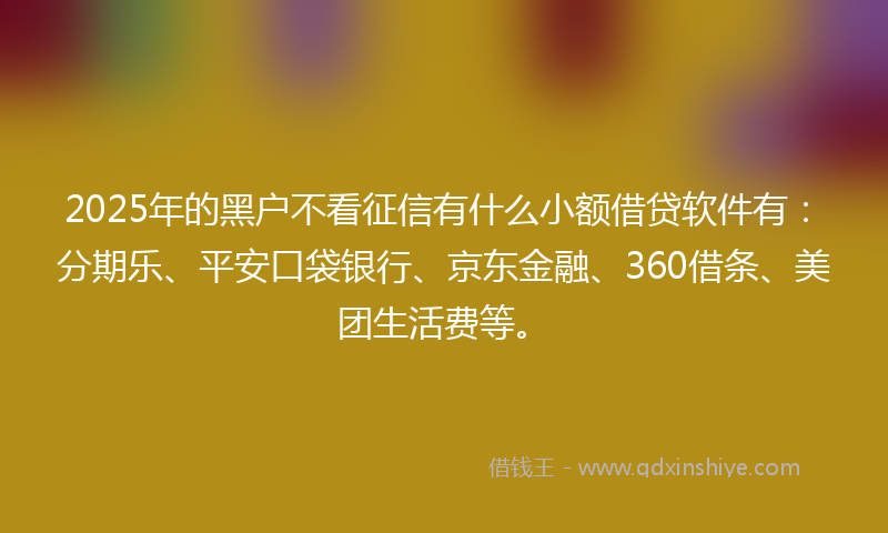 2025年的黑户不看征信有什么小额借贷软件有：分期乐、平安口袋银行、京东金融、360借条、美团生活费等。