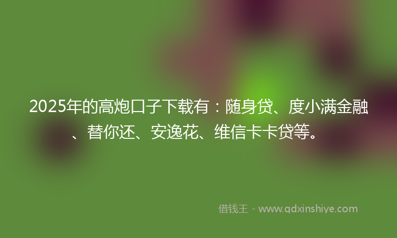 2025年的高炮口子下载有：随身贷、度小满金融、替你还、安逸花、维信卡卡贷等。
