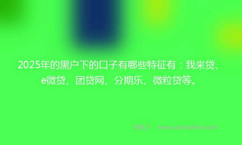 2025年的黑户下的口子有哪些特征有：我来贷、e微贷、团贷网、分期乐、微粒贷等。