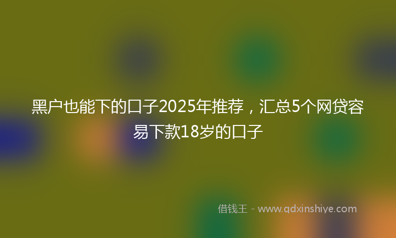 黑户也能下的口子2025年推荐，汇总5个网贷容易下款18岁的口子