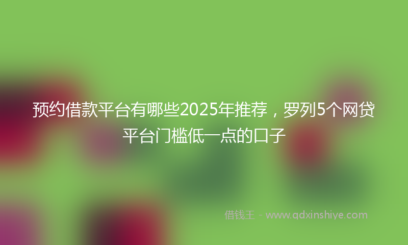 预约借款平台有哪些2025年推荐，罗列5个网贷平台门槛低一点的口子