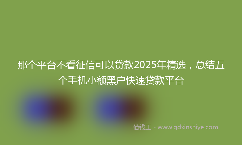 那个平台不看征信可以贷款2025年精选，总结五个手机小额黑户快速贷款平台