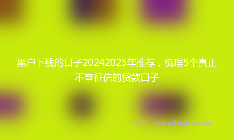 黑户下钱的口子20242025年推荐，梳理5个真正不查征信的贷款口子