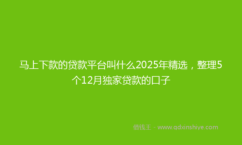 马上下款的贷款平台叫什么2025年精选，整理5个12月独家贷款的口子