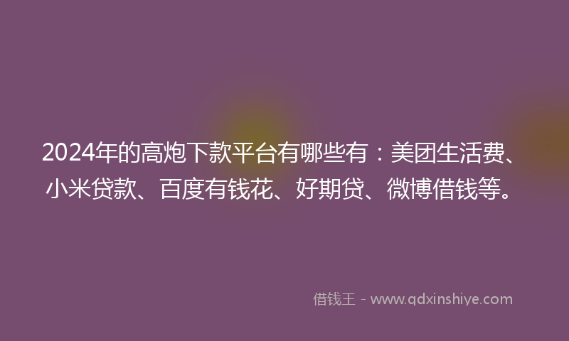 2024年的高炮下款平台有哪些有：美团生活费、小米贷款、百度有钱花、好期贷、微博借钱等。