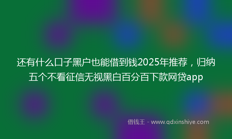 还有什么口子黑户也能借到钱2025年推荐，归纳五个不看征信无视黑白百分百下款网贷app