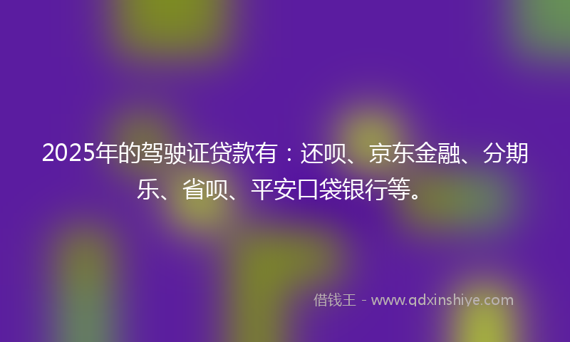 2025年的驾驶证贷款有：还呗、京东金融、分期乐、省呗、平安口袋银行等。