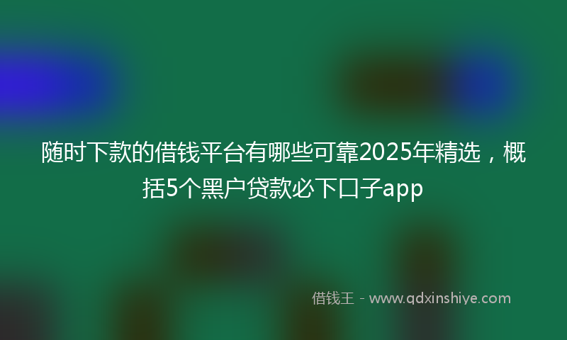 随时下款的借钱平台有哪些可靠2025年精选，概括5个黑户贷款必下口子app