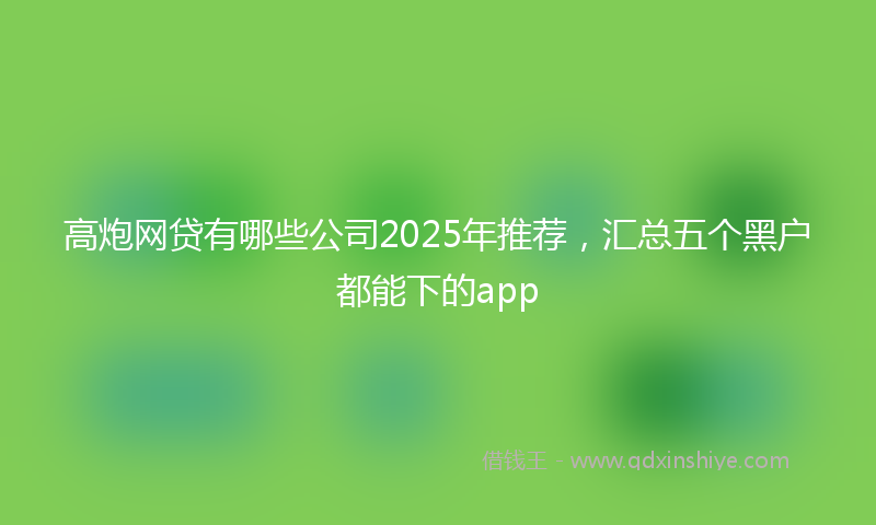 高炮网贷有哪些公司2025年推荐，汇总五个黑户都能下的app