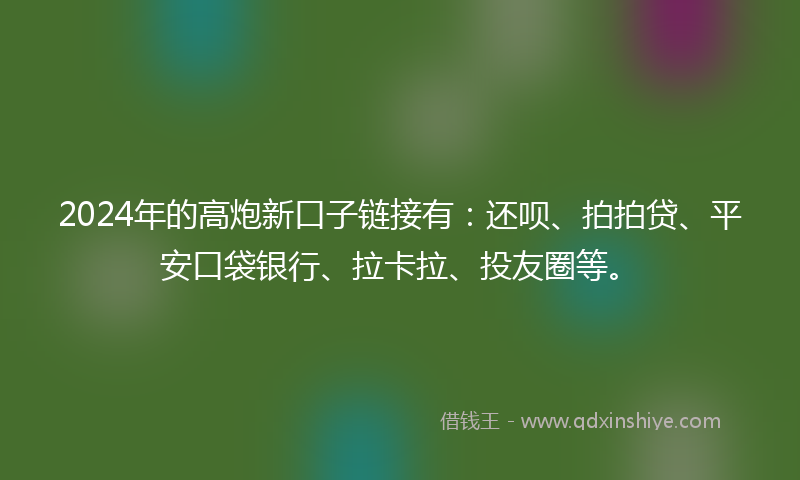 2024年的高炮新口子链接有：还呗、拍拍贷、平安口袋银行、拉卡拉、投友圈等。