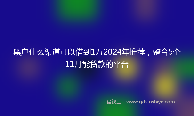 黑户什么渠道可以借到1万2024年推荐，整合5个11月能贷款的平台