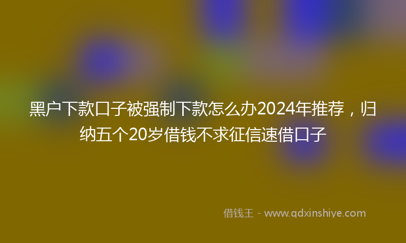 黑户下款口子被强制下款怎么办2024年推荐，归纳五个20岁借钱不求征信速借口子