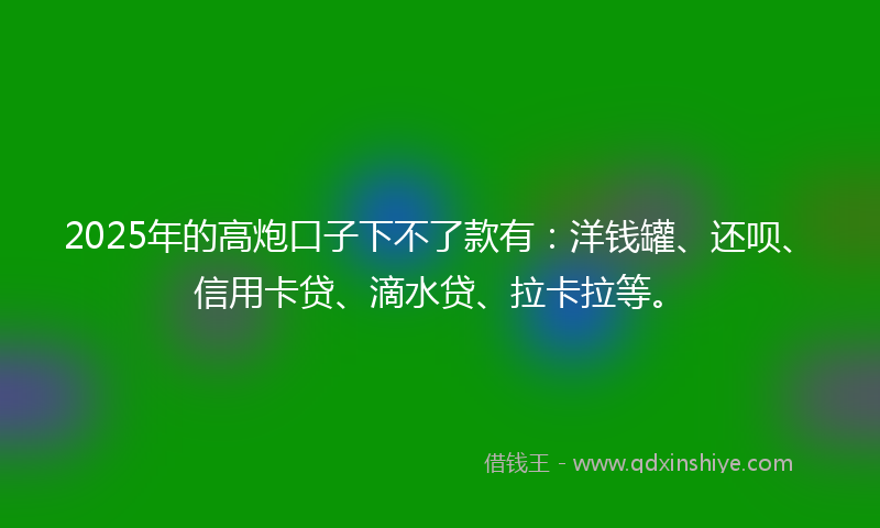 2025年的高炮口子下不了款有：洋钱罐、还呗、信用卡贷、滴水贷、拉卡拉等。