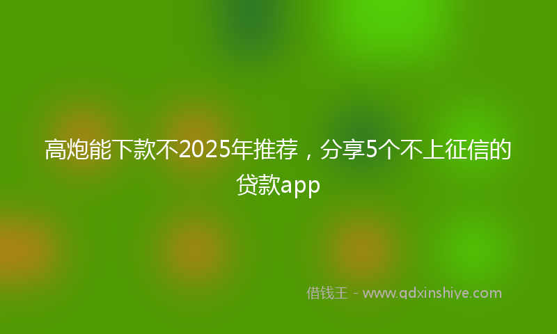 高炮能下款不2025年推荐，分享5个不上征信的贷款app