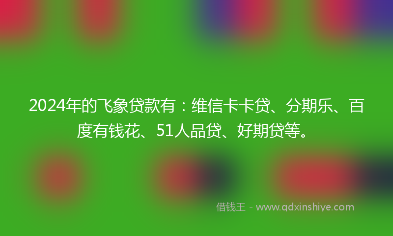 2024年的飞象贷款有：维信卡卡贷、分期乐、百度有钱花、51人品贷、好期贷等。