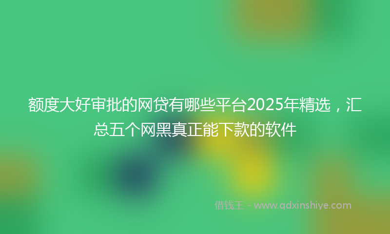 额度大好审批的网贷有哪些平台2025年精选，汇总五个网黑真正能下款的软件