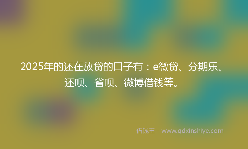 2025年的还在放贷的口子有：e微贷、分期乐、还呗、省呗、微博借钱等。