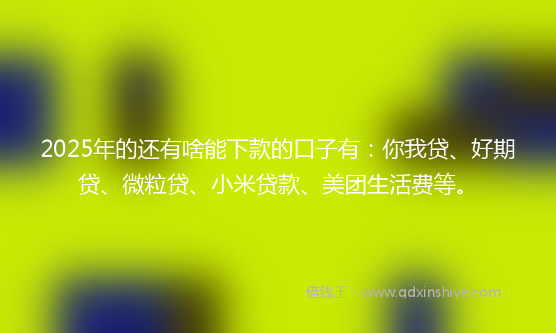 2025年的还有啥能下款的口子有：你我贷、好期贷、微粒贷、小米贷款、美团生活费等。