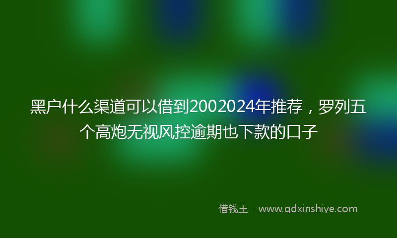 黑户什么渠道可以借到2002024年推荐，罗列五个高炮无视风控逾期也下款的口子