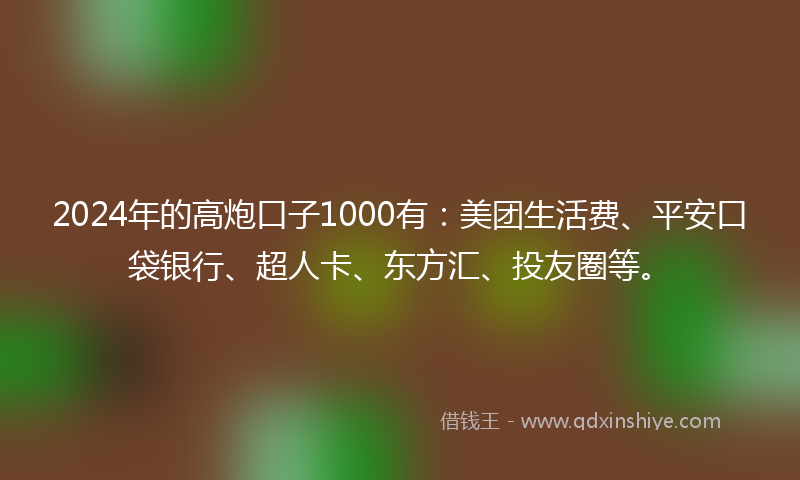 2024年的高炮口子1000有：美团生活费、平安口袋银行、超人卡、东方汇、投友圈等。