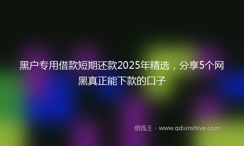 黑户专用借款短期还款2025年精选，分享5个网黑真正能下款的口子