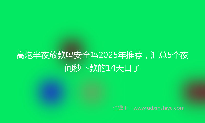 高炮半夜放款吗安全吗2025年推荐，汇总5个夜间秒下款的14天口子