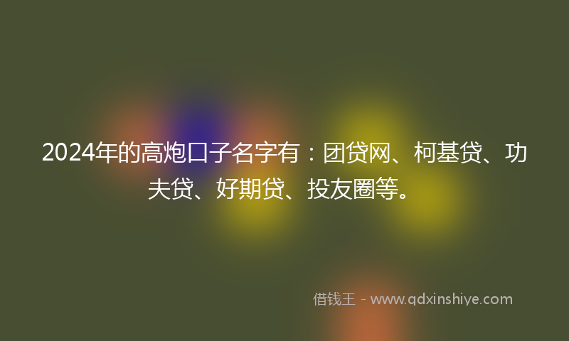 2024年的高炮口子名字有：团贷网、柯基贷、功夫贷、好期贷、投友圈等。