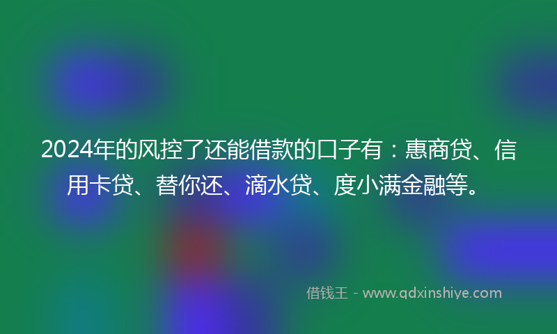 2024年的风控了还能借款的口子有：惠商贷、信用卡贷、替你还、滴水贷、度小满金融等。