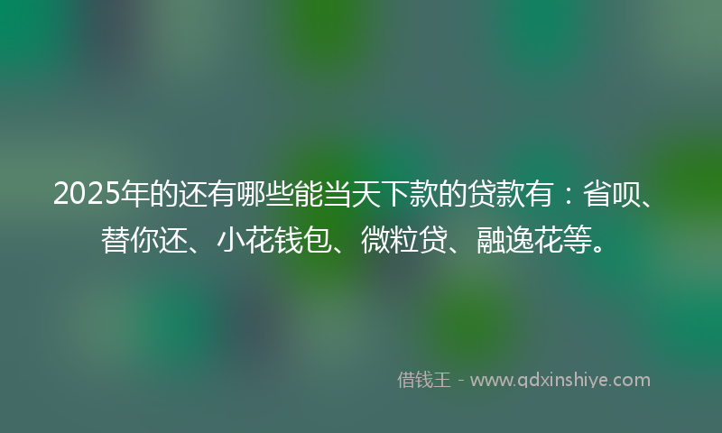 2025年的还有哪些能当天下款的贷款有：省呗、替你还、小花钱包、微粒贷、融逸花等。