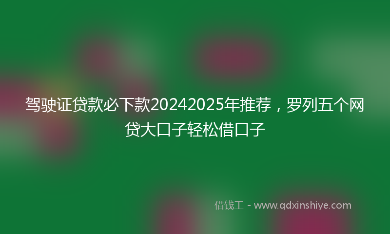 驾驶证贷款必下款20242025年推荐，罗列五个网贷大口子轻松借口子