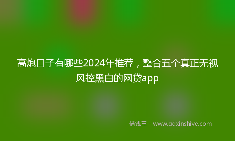 高炮口子有哪些2024年推荐，整合五个真正无视风控黑白的网贷app