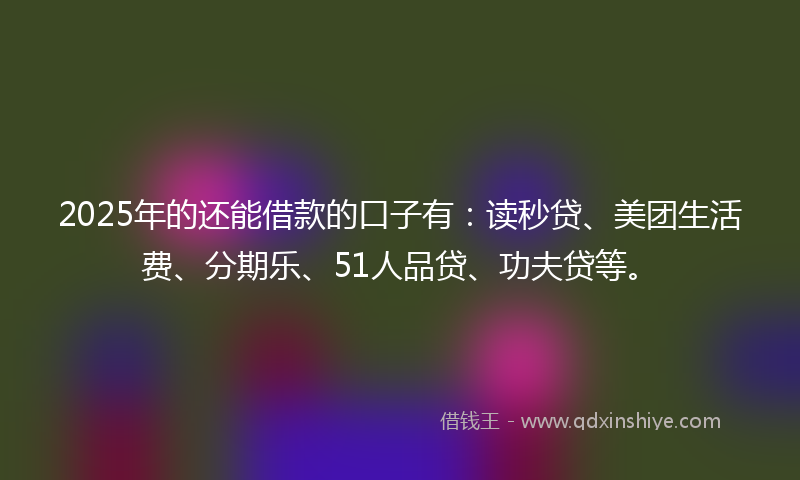 2025年的还能借款的口子有：读秒贷、美团生活费、分期乐、51人品贷、功夫贷等。