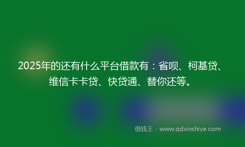 2025年的还有什么平台借款有：省呗、柯基贷、维信卡卡贷、快贷通、替你还等。