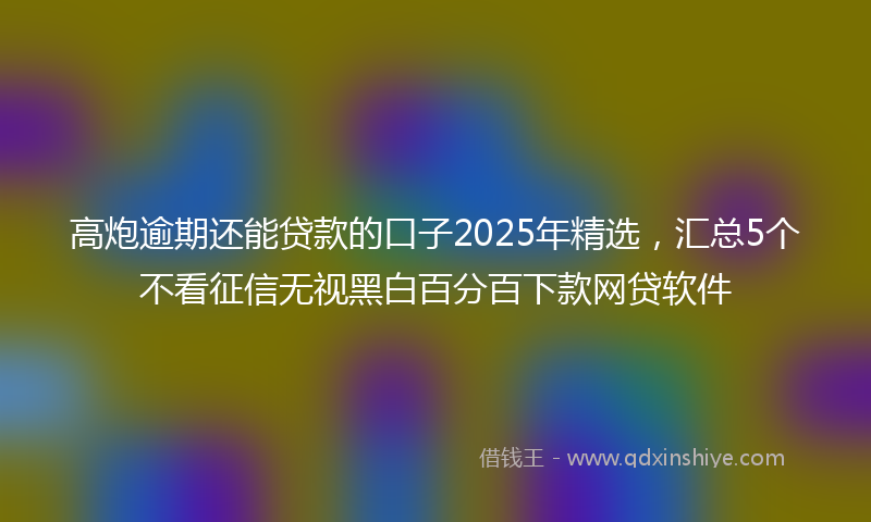 高炮逾期还能贷款的口子2025年精选，汇总5个不看征信无视黑白百分百下款网贷软件