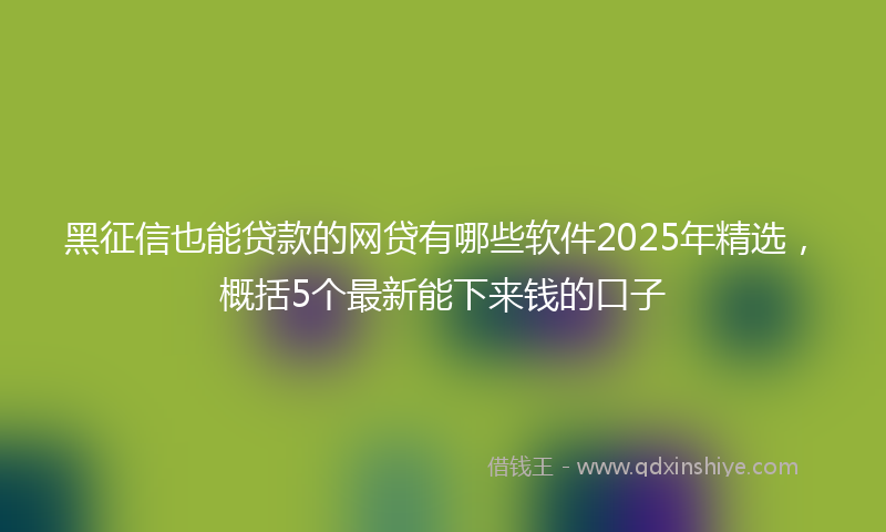 黑征信也能贷款的网贷有哪些软件2025年精选，概括5个最新能下来钱的口子
