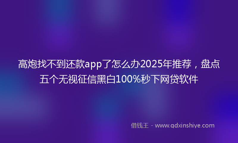 高炮找不到还款app了怎么办2025年推荐，盘点五个无视征信黑白100%秒下网贷软件