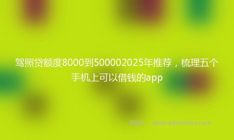 驾照贷额度8000到500002025年推荐，梳理五个手机上可以借钱的app