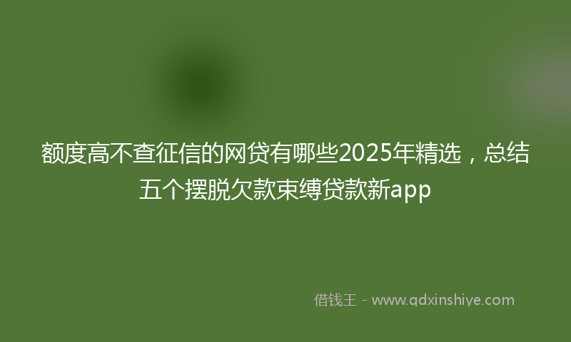 额度高不查征信的网贷有哪些2025年精选，总结五个摆脱欠款束缚贷款新app