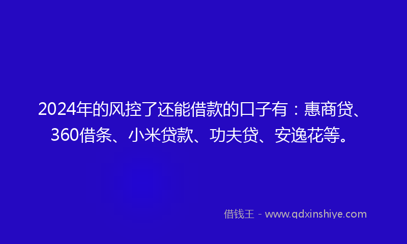 2024年的风控了还能借款的口子有：惠商贷、360借条、小米贷款、功夫贷、安逸花等。